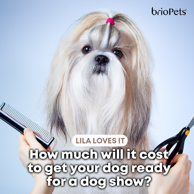 How much will it cost to get your dog ready for a dog show?