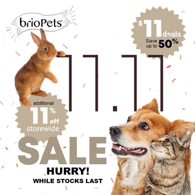 Sneak Peek to briopets 11.11 - Singles' Day Sale 2020