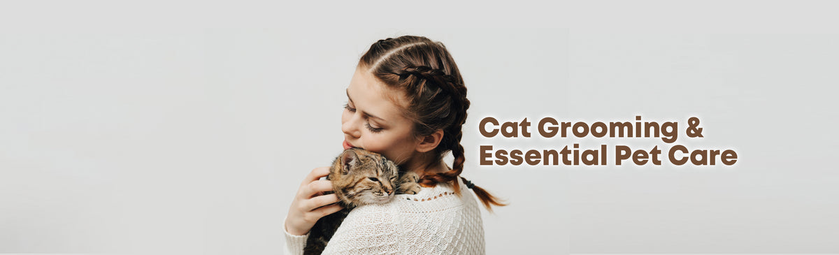 Cat Grooming & Essential Care
