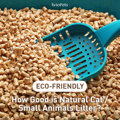 How Good is Natural Cat / Small Animal Litter?