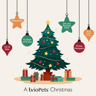 briopets Festive December Promotions