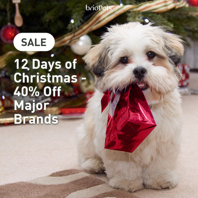 12 Days of Christmas - 40% off Major Brands