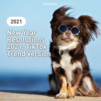 New Year Resolutions 2021: TikTok Trend Version