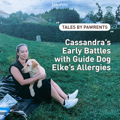 Tales by Pawrents #1: Cassandra’s Early Battles with Guide Dog Elke’s Allergies