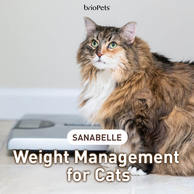Weight Management for Cats / Sanabelle