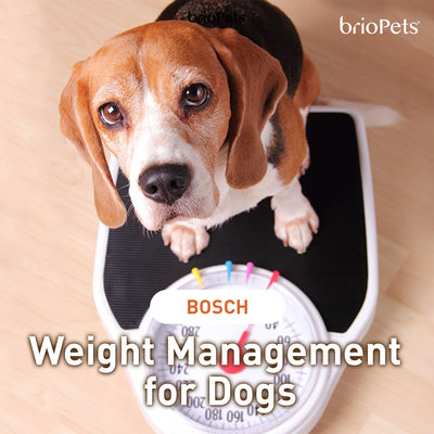 Weight Management for Dogs / bosch