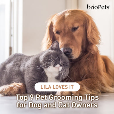 Top 9 Pet Grooming Tips for Dog and Cat Owners