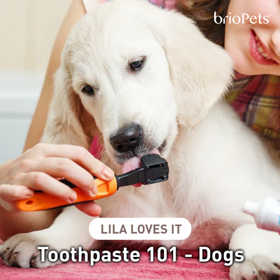 Toothpaste 101 - Dogs