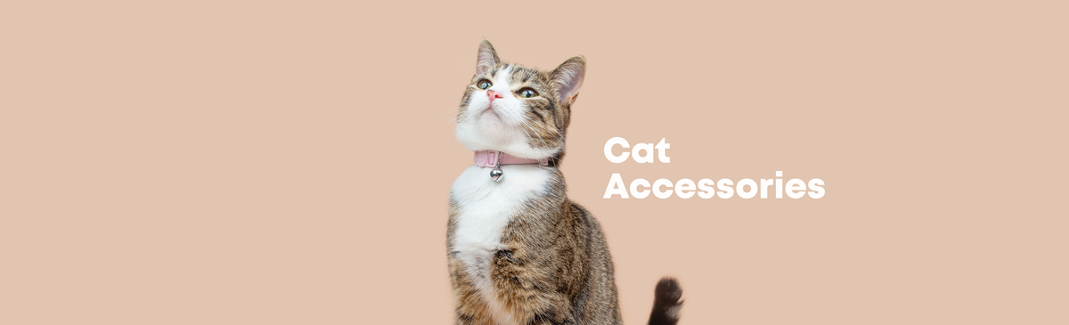 Buy Cat Accessories Online - BrioPets Singapore