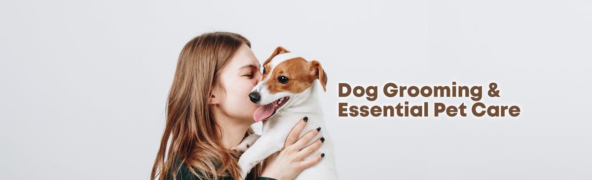 Dog Grooming & Essential Care