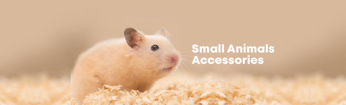 Small Animals Accessories