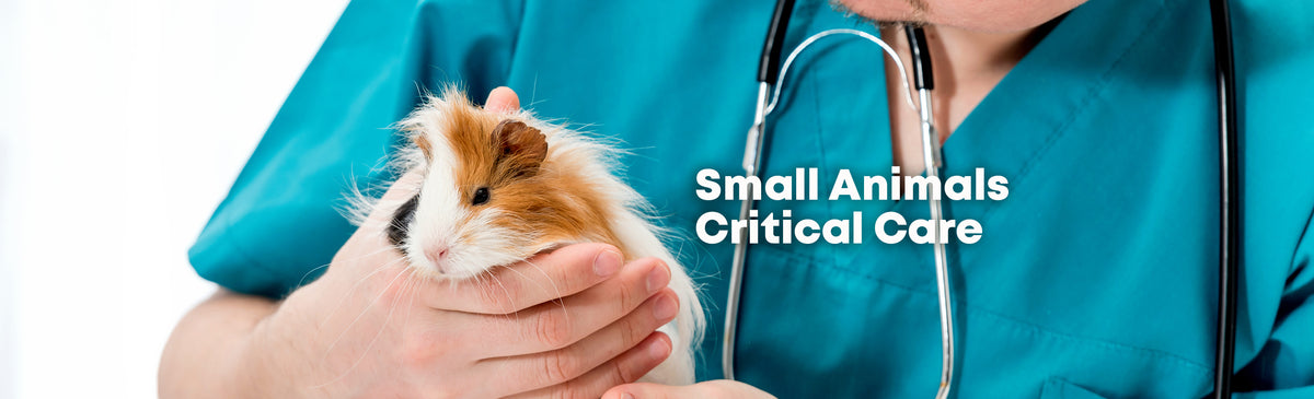 Small Animals Critical Care