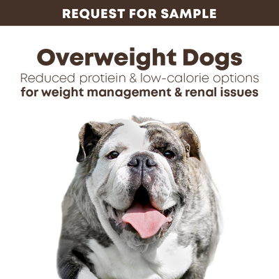 Samples: bosch Dry Dog Food for Overweight Dogs