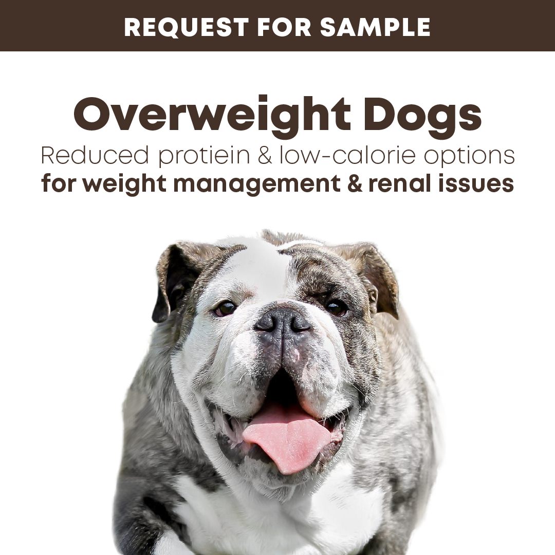 Samples: bosch Dry Dog Food for Overweight Dogs