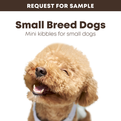 Samples: bosch Dry Dog Food for Small Breed Dogs