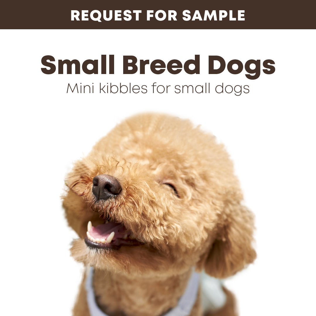 Samples: bosch Dry Dog Food for Small Breed Dogs